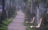 Amenajare trotuare și mobilier stradal