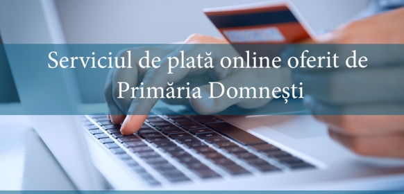 Serviciul de plata online